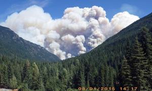 Wolverine Wild Fire 